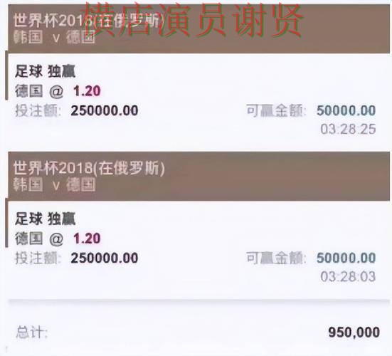 世界杯直播来临，世界杯投注平台合集玩法指南与平台选择实测对比